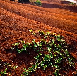 《罪恶装备：STRIVE》新DLC角色确定为无性别者